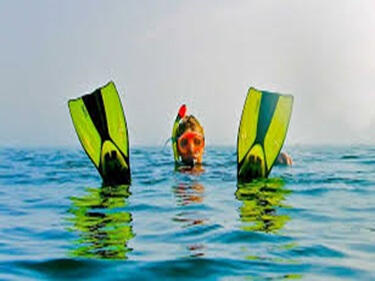 Traiga su equipo y busque un tesoro